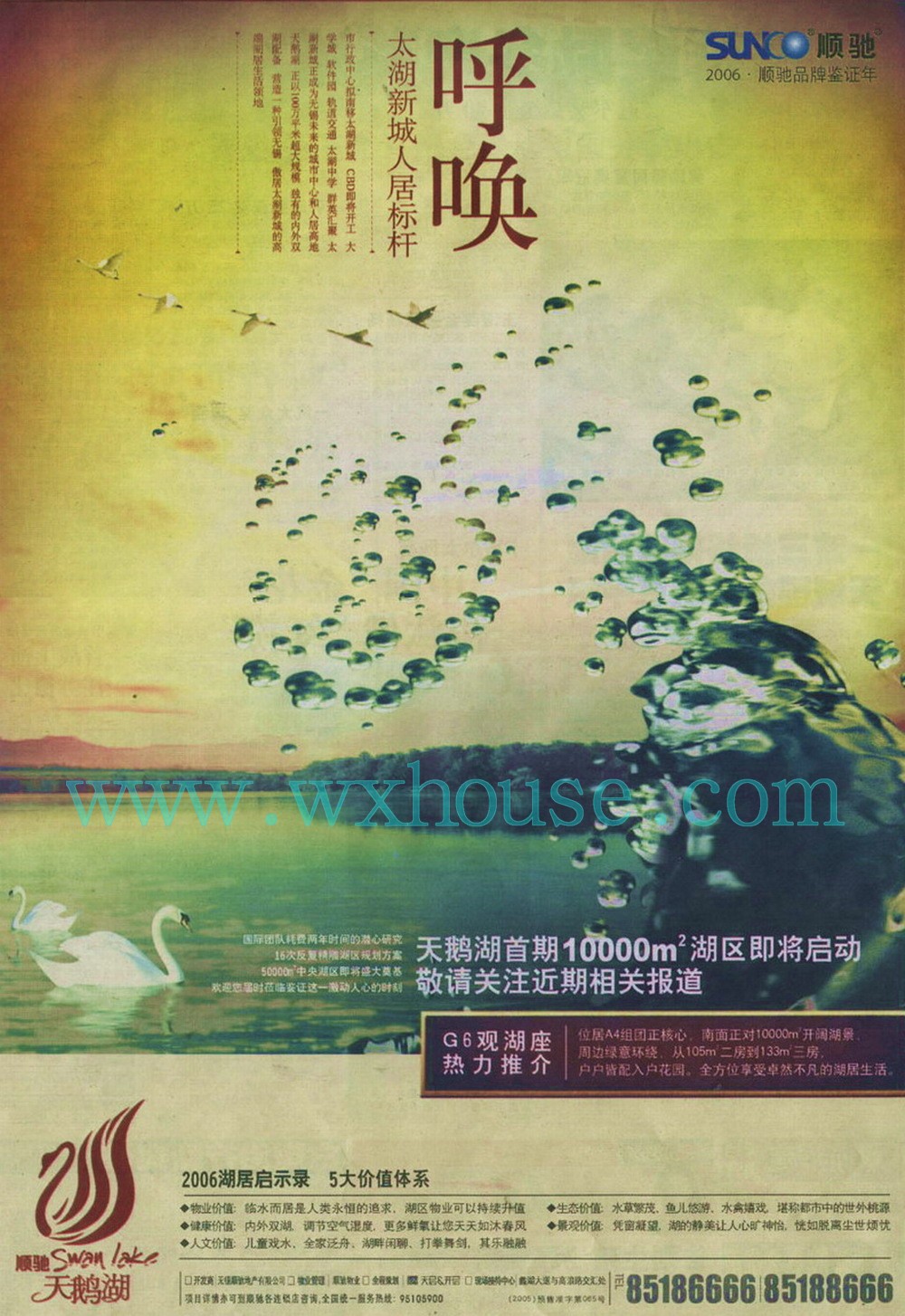 天鹅湖报纸广告 2006年3月1日 江南晚报 A16  1/2版面   