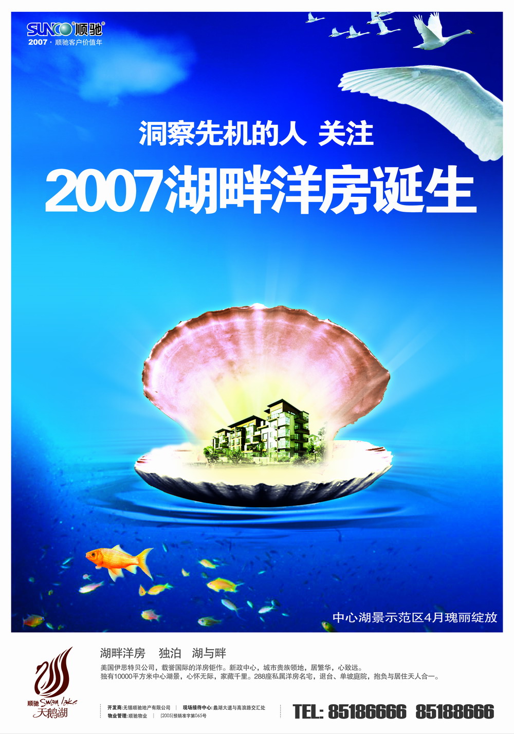顺驰·天鹅湖报纸广告 2007-3-16 江南晚报 A16   