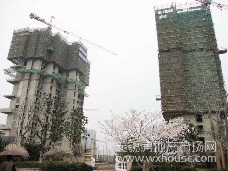 现场施工进度 2010年4月20日     