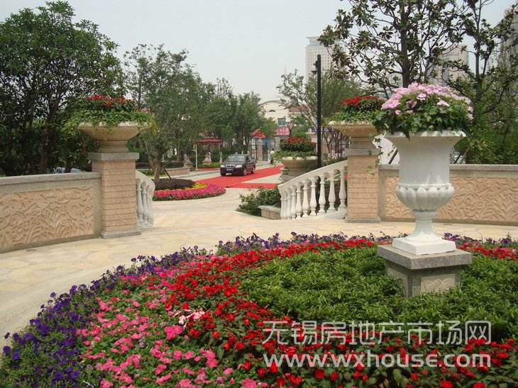 样板示范区      