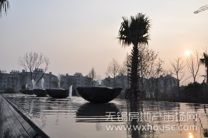 景观      