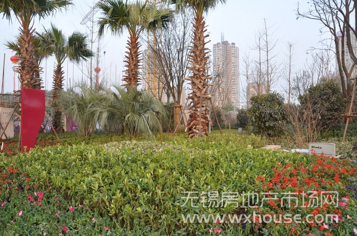 景观      