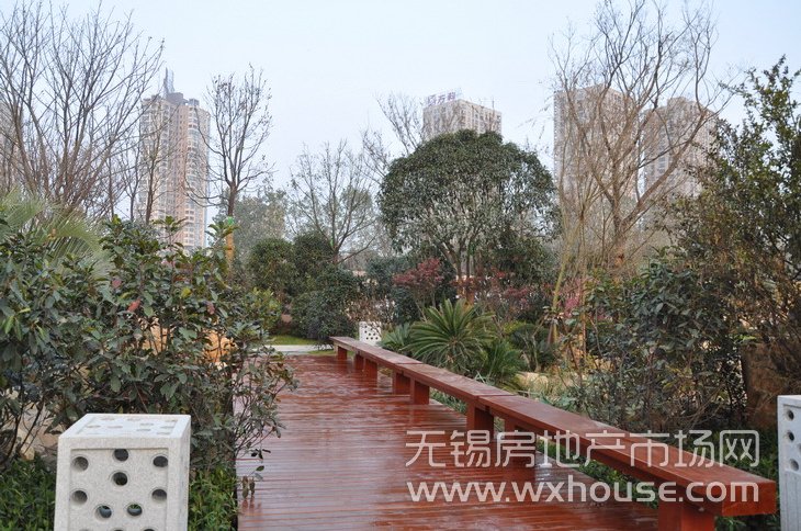 景观      