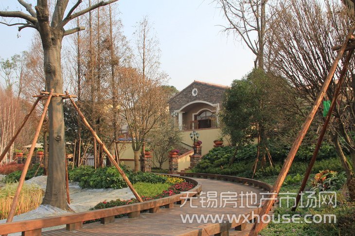 样板示范区      