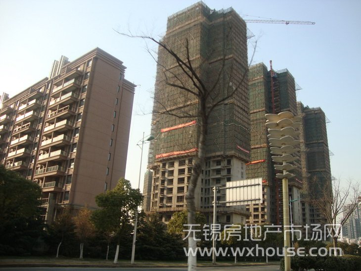 现场施工进度      