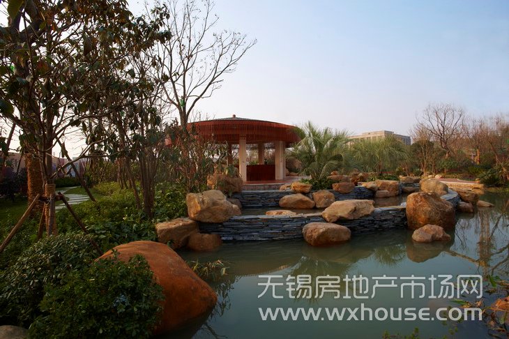 景观      