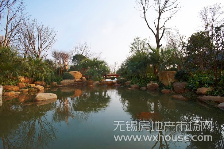景观      