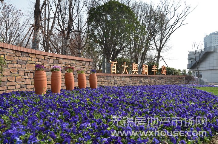 景观      