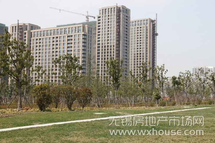 住宅与景观      