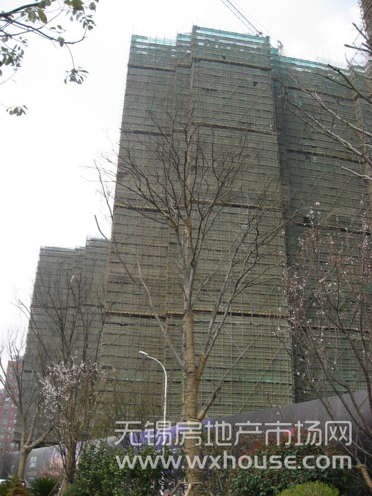 现场施工进度      