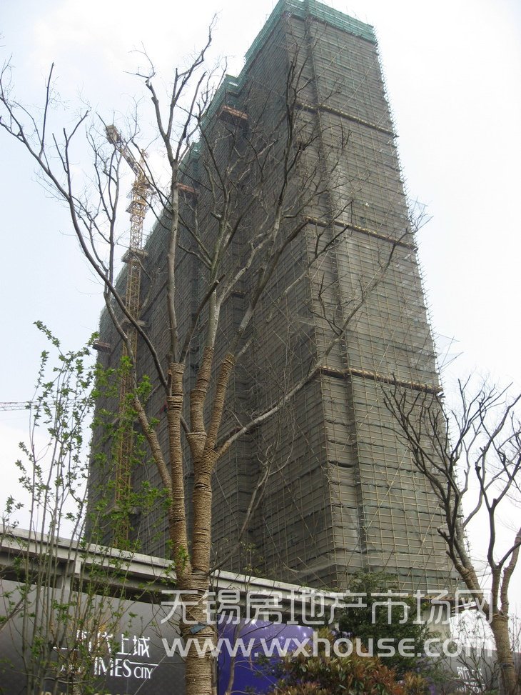现场施工进度      
