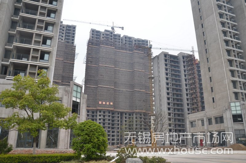 现场施工进度      