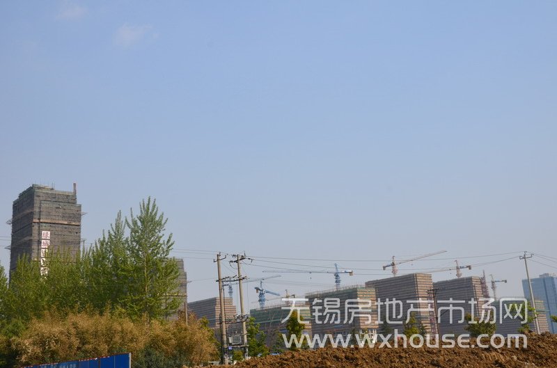 现场施工进度      