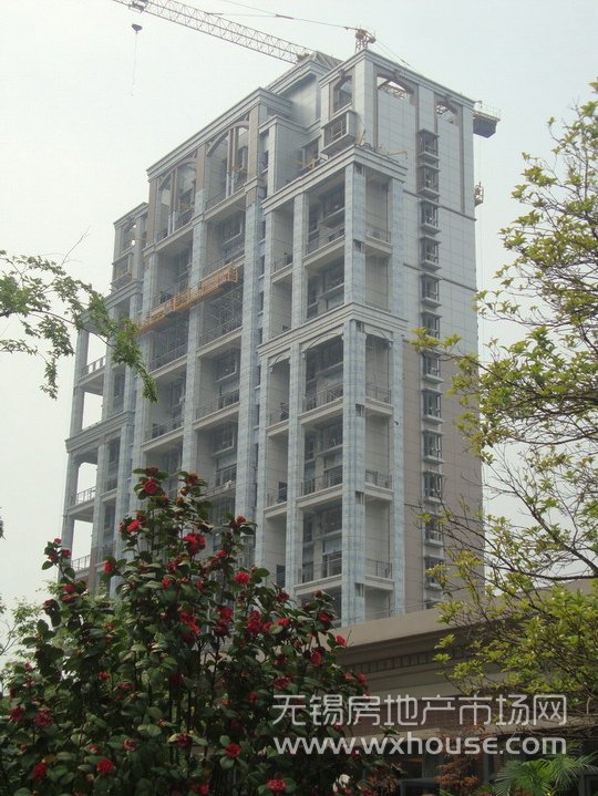 现场施工进度      