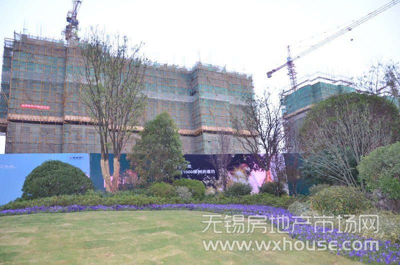 现场施工进度      