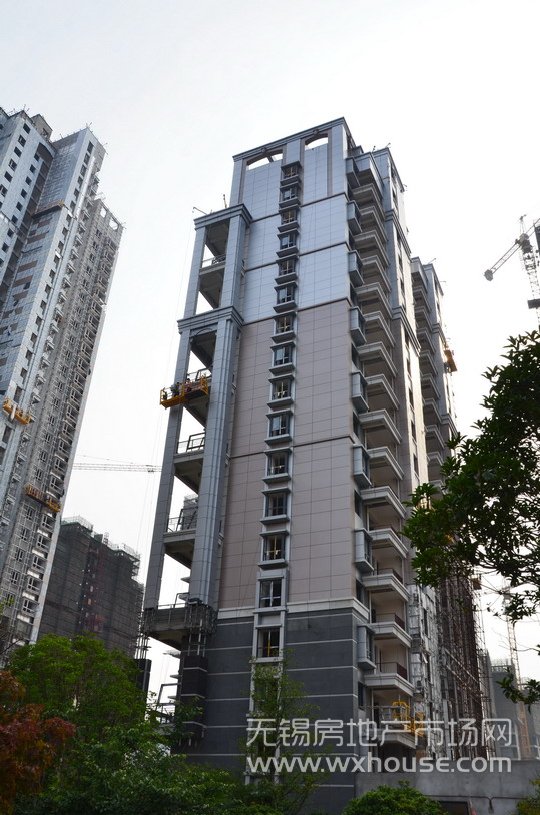 现场施工进度      