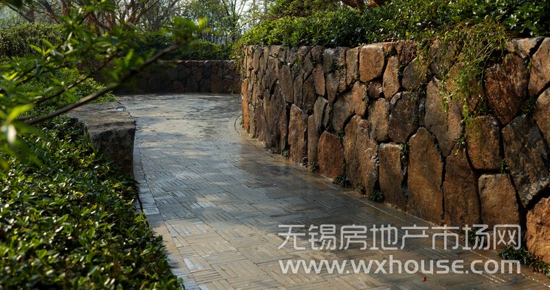 忆石路      