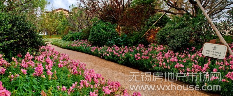 住宅与景观      