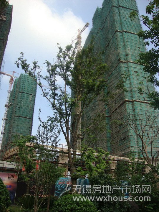 现场施工进度      