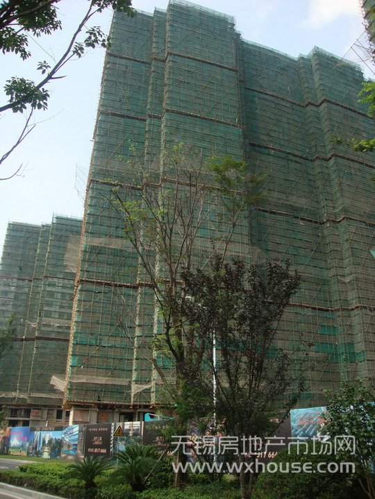 现场施工进度      