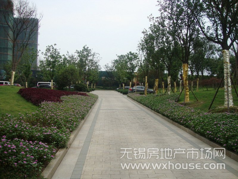 景观      