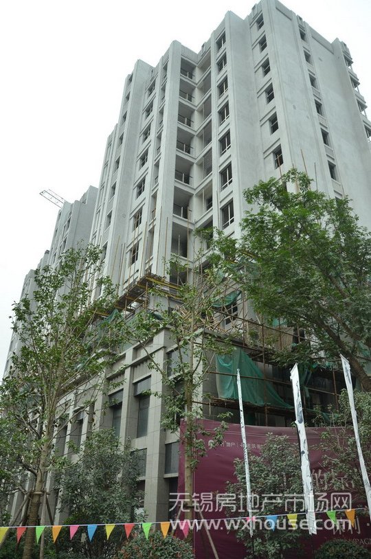 现场施工进度      