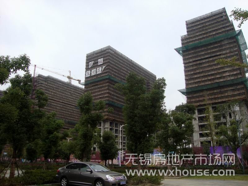 现场施工进度      