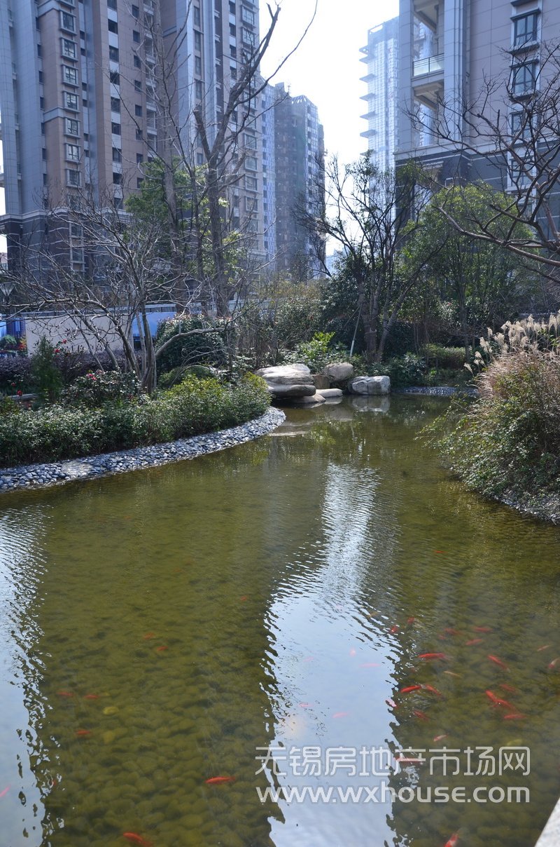 社区景观      