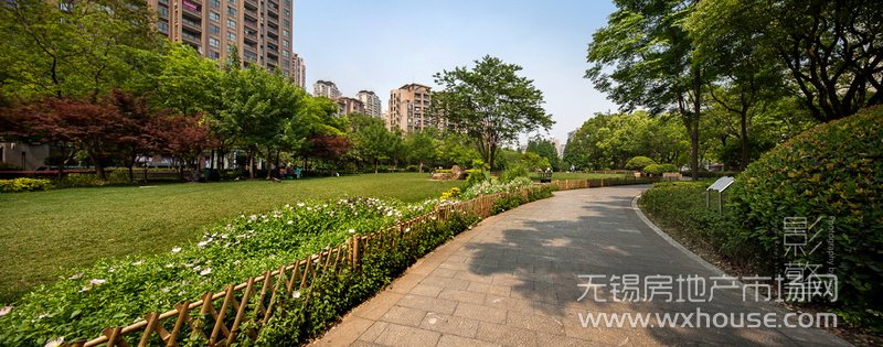 景观      