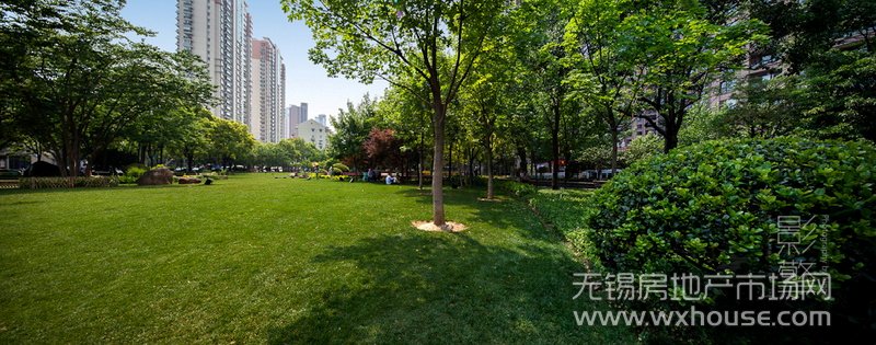 景观      