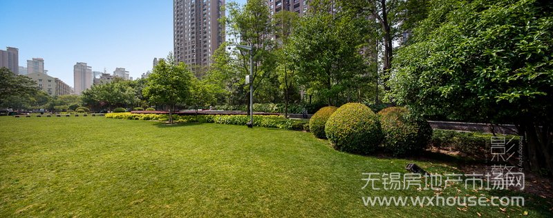 景观      
