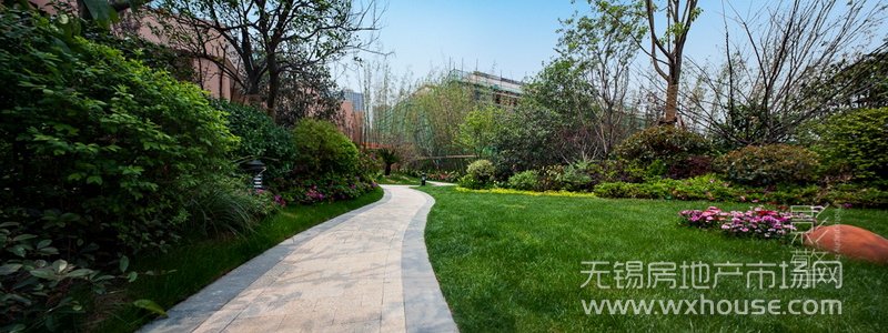 景观      