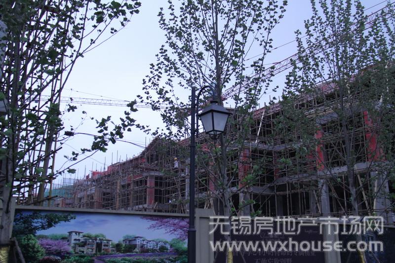 现场施工进度      