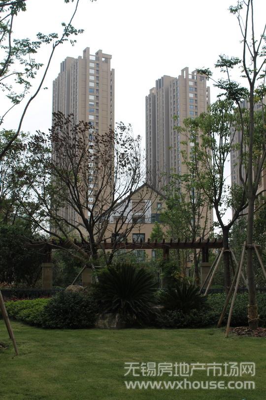小区实景      