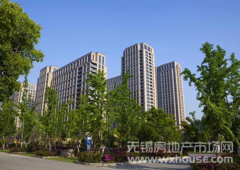 小区实景      