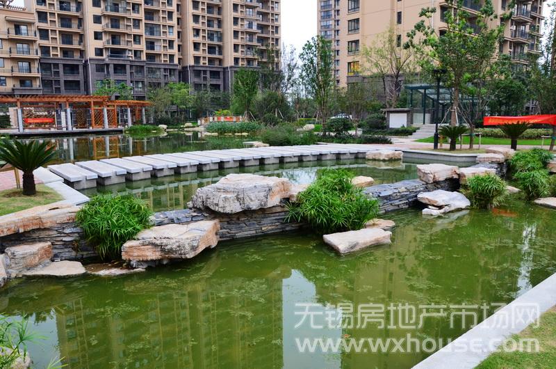 景观      
