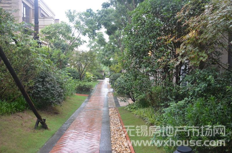 户型260平米别墅样板房：小区道路      