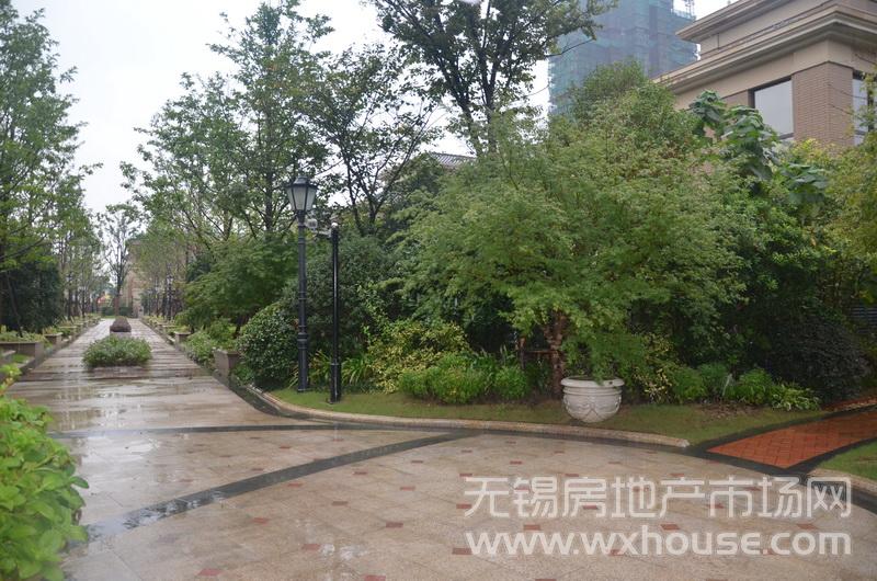 户型260平米别墅样板房：小区道路      