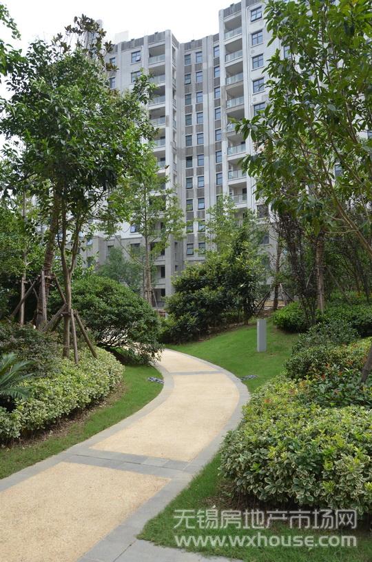 景观      