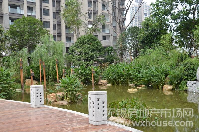 景观      