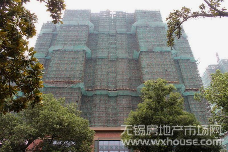 现场施工进度      