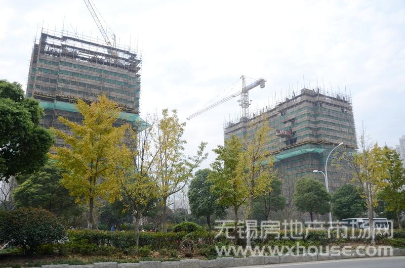 现场施工进度      