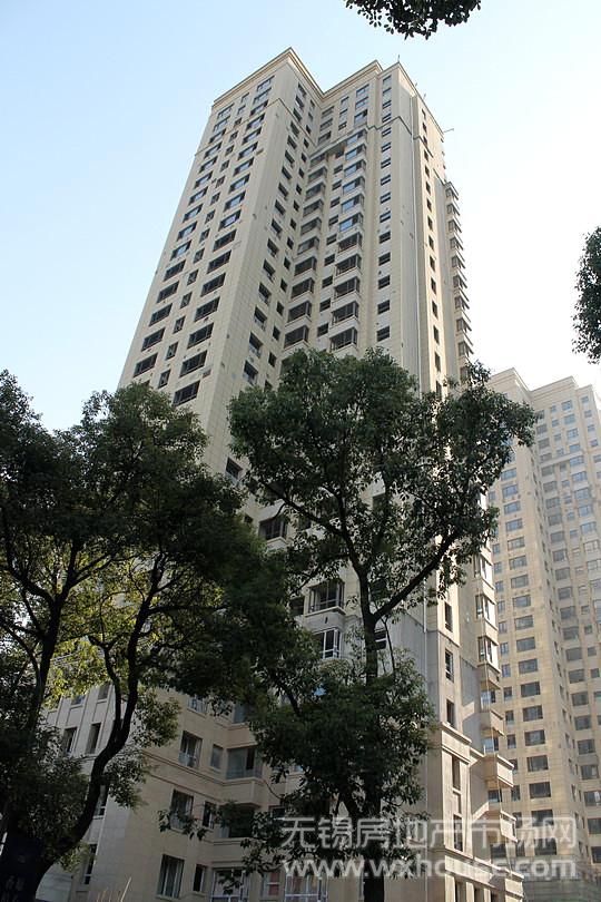 现场施工进度      