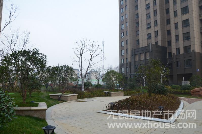 楼栋之间的景观组团      