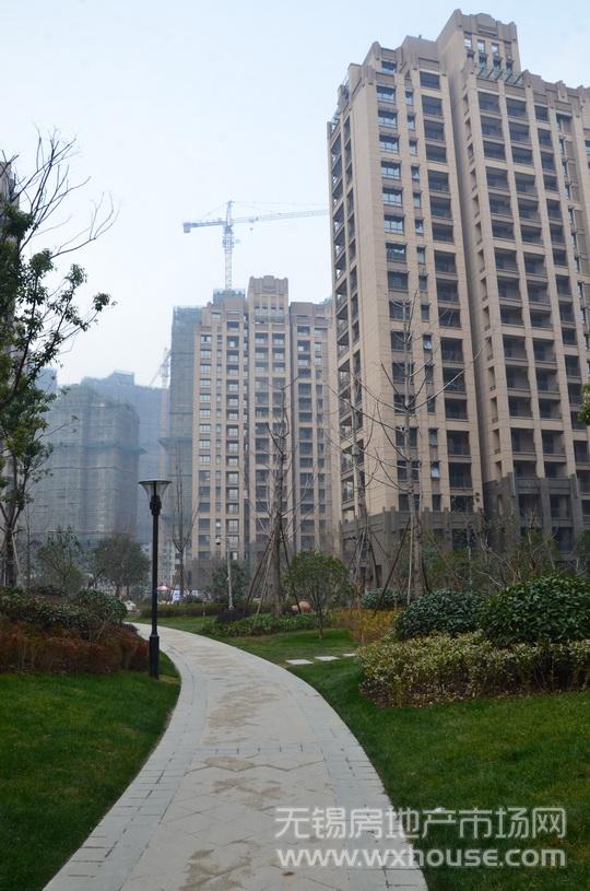 小区道路      