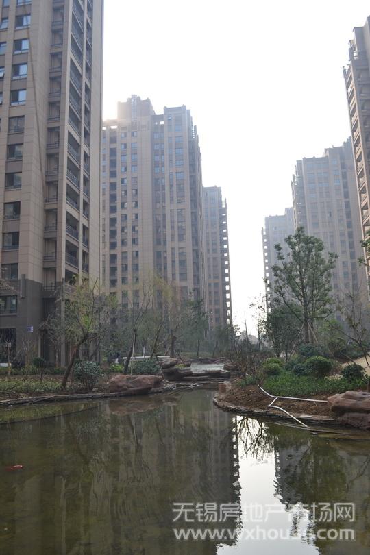 小区景观      