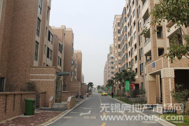 小路道路      