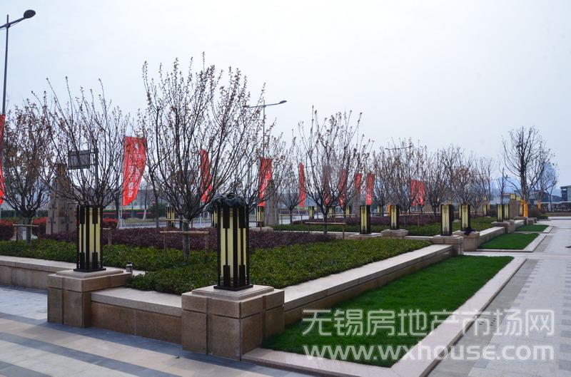 景观      