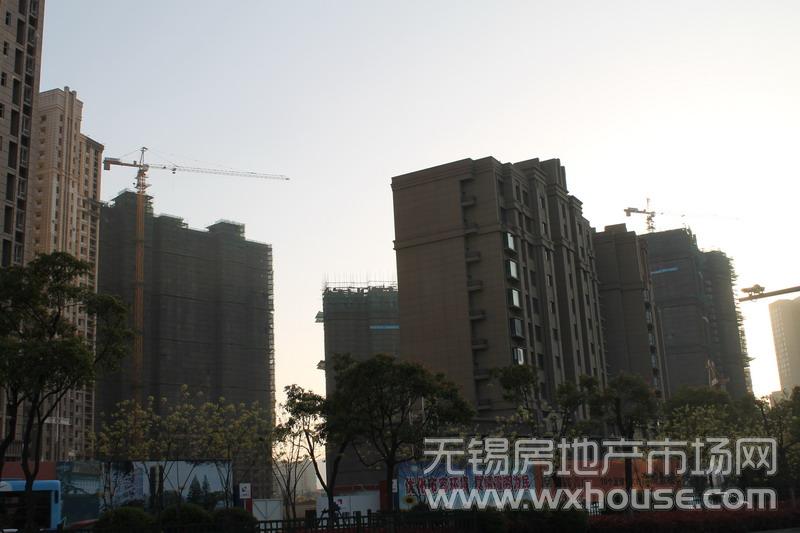 施工进度      