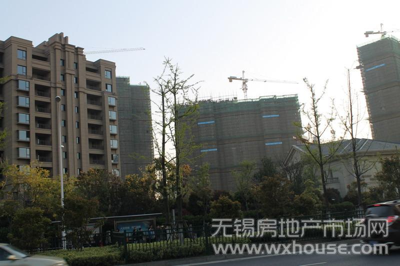 施工进度      